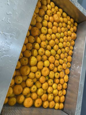 Factory Price Stainless Steel Automatic Passion Fruit Peeling and Juicing Machine