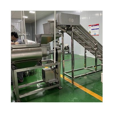 Hot Selling Commercial Vegetable Fully Automatic Single Pulp Extractor Machine