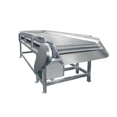 Manufacturer Price Custom Speed Adjustable Motorized Stainless Steel Roller Conveyor