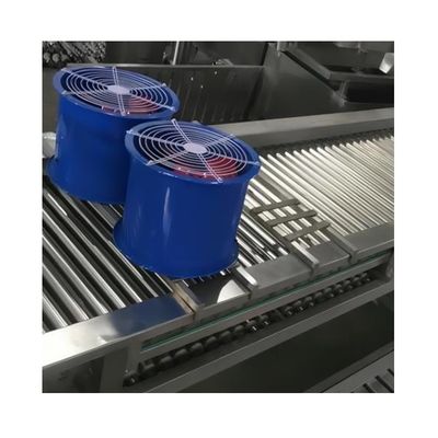 Custom Flexible Stainless Steel Motorized Automatic Food Fruit Roller Conveyor