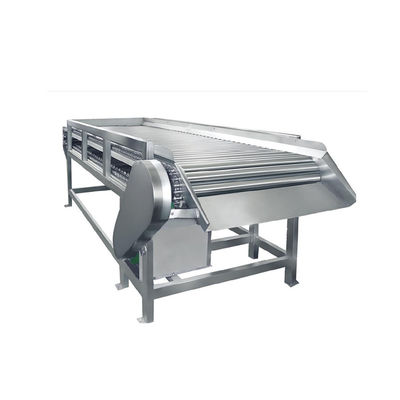 Automatic Industrial Custom Fresh Customized Juice Pulp Production Line for mango