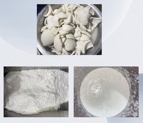 2025 Hot Sellingg Industrial Factory Customized Coconut Milk Processing line